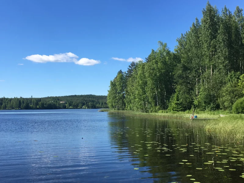 finland summer lake near aanekoski