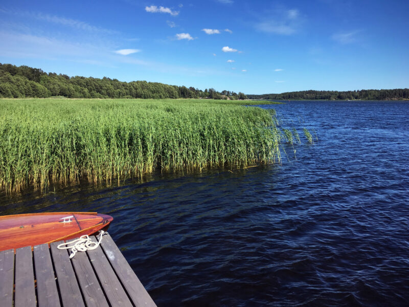 Finland, Summer, Boat, Reed