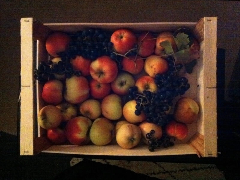 Äpfel und Trauben in einer Kiste