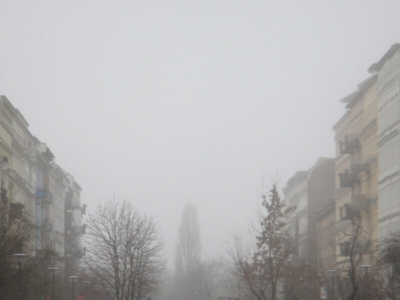 Oderberger Street in fog