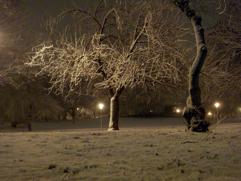 Winter night at Weinbergspark