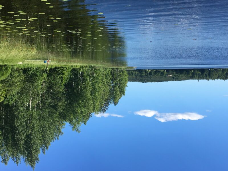 Summer in Finland - View to a Lake near Äänekoski