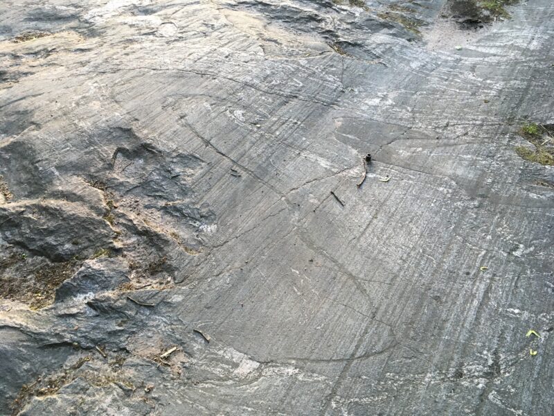 Glacial Bedrock with Scratches and Fold