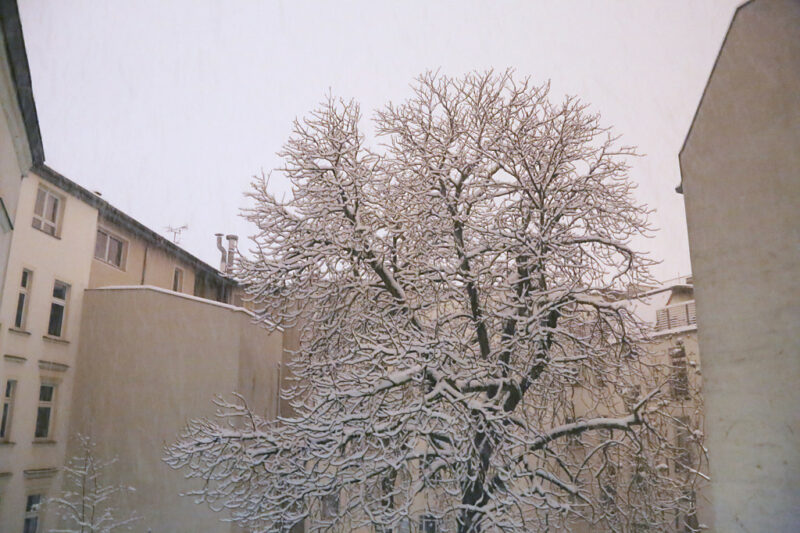 Berlin Winter: First Snow
