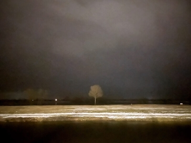 Winter: Tree near river Elbe