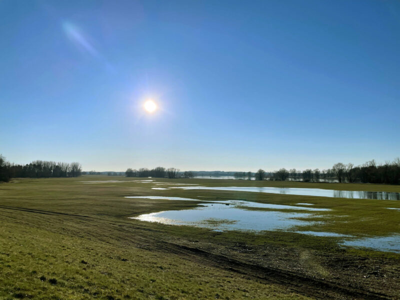 Pertly flooded Elbe meadows near Penkefitz