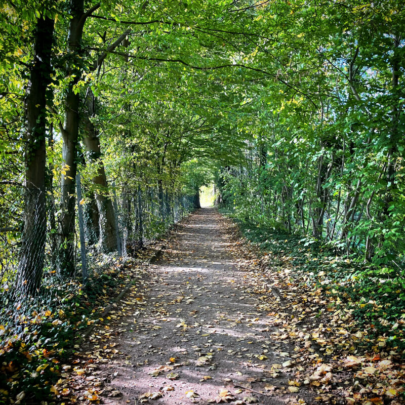 Autumn Walk in Dannenberg near river Alte Jeetzel
