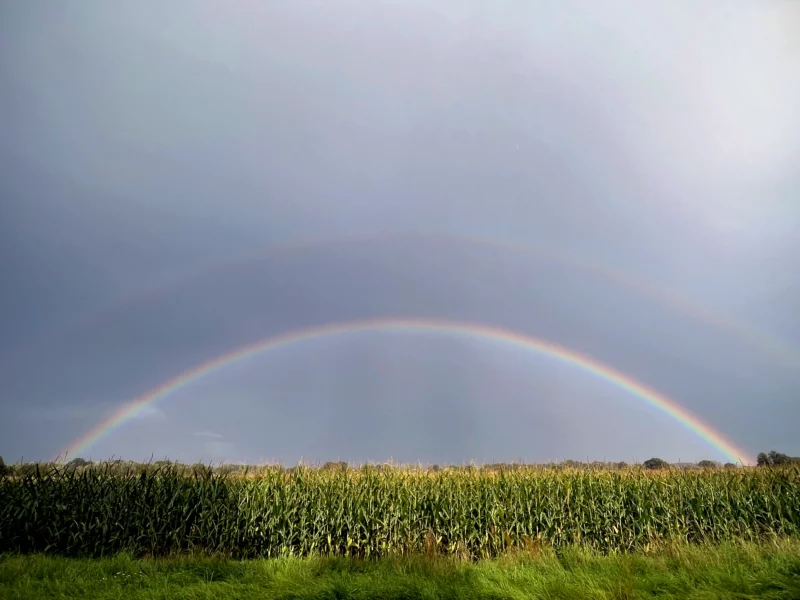 Double Rainbow, Landscape, Wendland